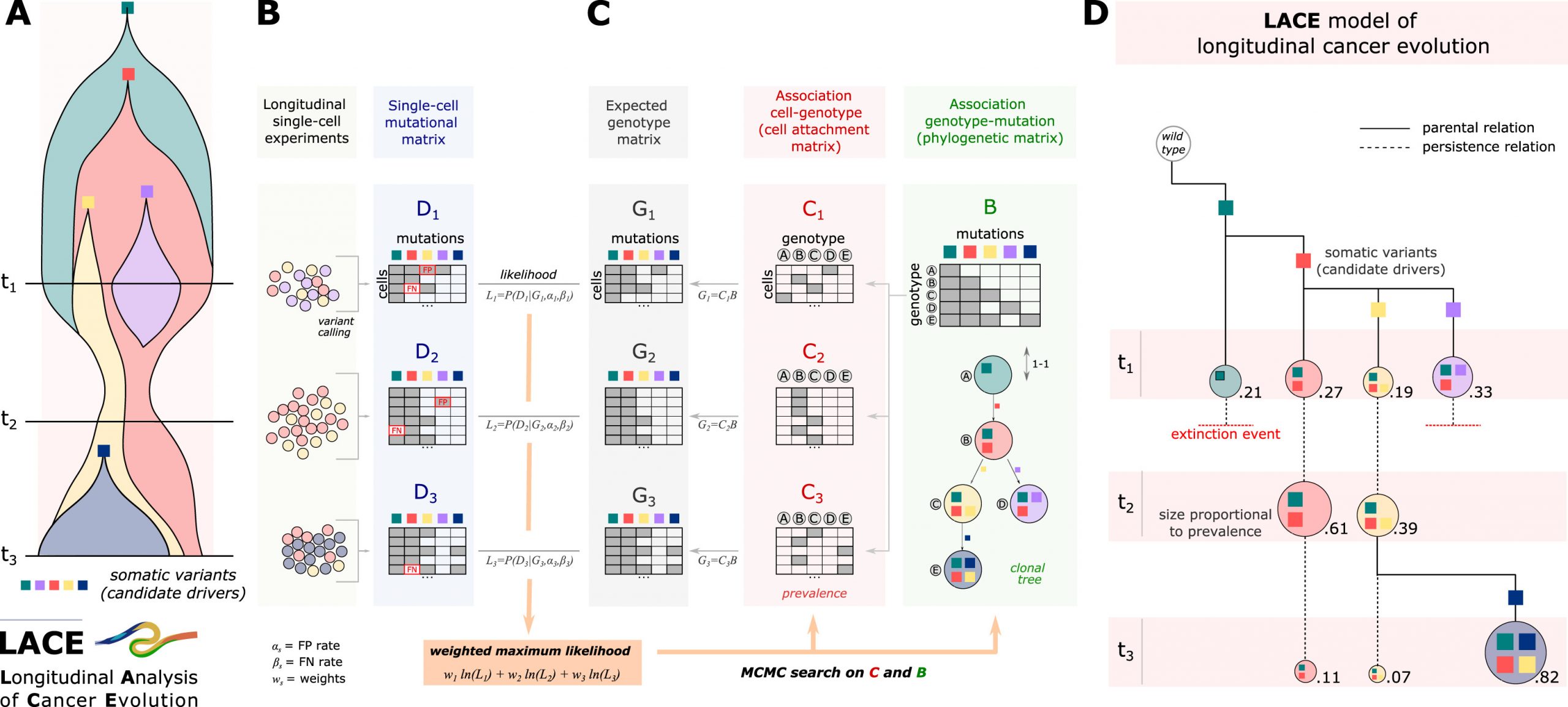 LACE: Inference of cancer evolution models from longitudinal single-cell sequencing data